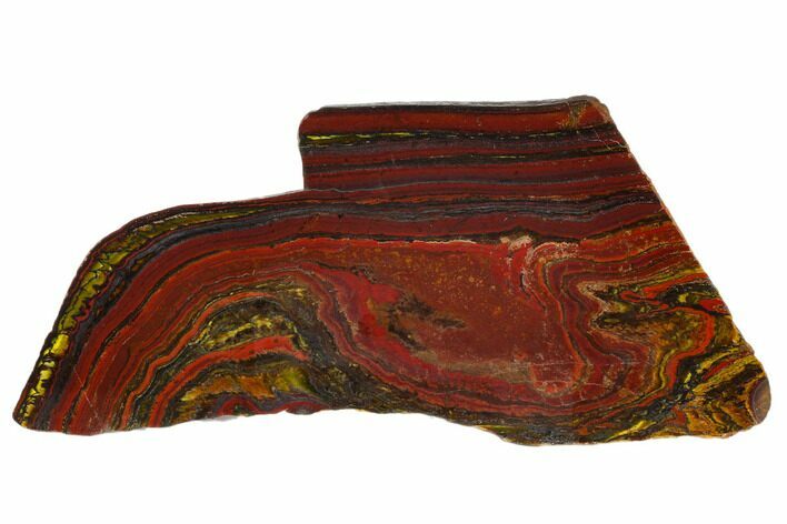 Polished Tiger Iron Stromatolite - Billion Years #129212